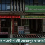 Doctors Point Gangni Doctor List