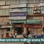 Romiza Hospital Gazipur Doctor List